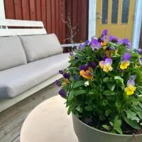 Farmstay Outdoor Old Hunters Cabin, 2p，位于奥尔延的酒店
