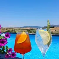 Su Arghentu Country Hotel，位于Laerru的酒店