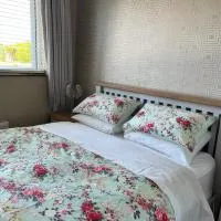 Private double room at Caroline's Guest House, River Street, Clara,位于Tara的酒店