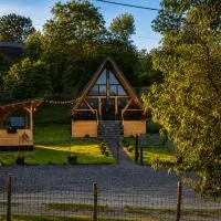 Cabana Bucegi View A-Frame Bran,位于普雷德鲁特的酒店