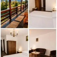 Pensiunea Alpin Marisel Self Check-in,位于马里瑟尔的酒店