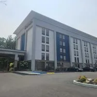 费城/杨柳林希尔顿恒庭酒店，位于威洛格罗夫的酒店