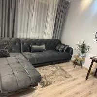 Apartament Central Pietonalul Unirii，位于博托沙尼的酒店