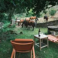 Casa Grande de Covas-Rural Boutique & Agroturismo en la Ribeira Sacra，位于Taboada的酒店