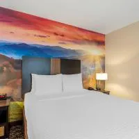 LeConte Hotel & Convention Center, an Ascend Collection Hotel，位于鸽子谷的酒店