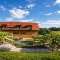 Vino Valdhuber Apartments，位于Svečina的酒店