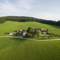 Bauernhof Hoenigshof，位于菲施巴赫的酒店