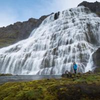 Fisherman Guesthouse Sudureyri，位于Suðureyri的酒店