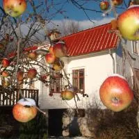 Mellangården i Äpplerum，位于博里霍尔姆的酒店
