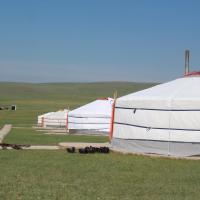 Nomad Horse Camp，位于NalayhNew Ulaanbaatar International Airport - UBN附近的酒店