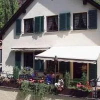 尼德萨勒霍夫兰德酒店,位于Schloßböckelheim的酒店