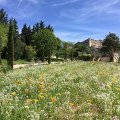 Domaine Les Martins - Gordes