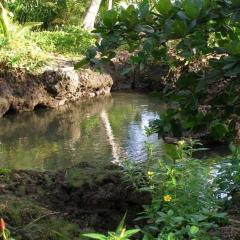 Piscina Natural on the Sea