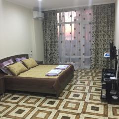 Apartment Pshavela 16