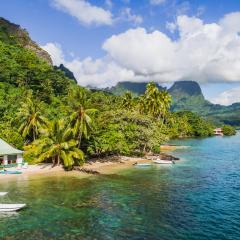 Robinson's Cove Villas - Deluxe Cook Villa