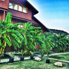 Guesthouse Vila Druri Dhermi
