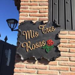 Mis Tres Rosas