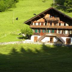 Spacious Swiss Alpine Chalet for Nature Lovers