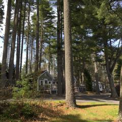 Pine Grove Cottages