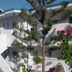 Creta Vassakis Studios