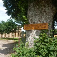 Gîte de la belle attente