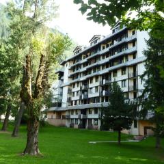 Apartment Chamois Blanc 6 - Chamonix Haven with great views