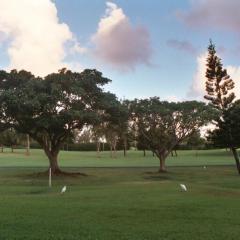 Hale Mokulani Condo