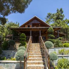 Ricky Chalet Near Troodos