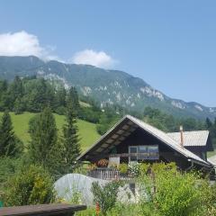 Farm stay Majdač