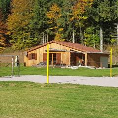 Chalet au bord du lac de Longemer