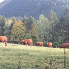 Urlaub auf dem Bauernhof