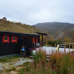 Haukeli Mountain Cabin