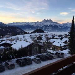 Apartment Leysin - Swiss Alps - Fully Renovated !