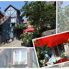 GITE le 70 à TURCKHEIM, 10 min Colmar