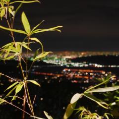 望际回家