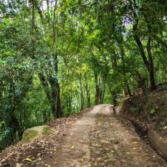 Udawatta Kele (UK) Forest Lodge