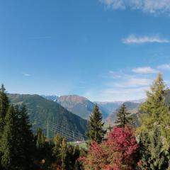 Rouet 12