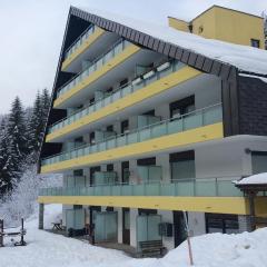 Mountain apartment Innerkrems