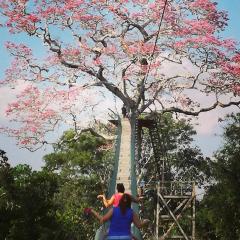 Paradise Amazon Tambopata Ecolodge