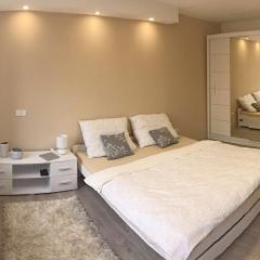 Apartmán U Zlaté hroudy