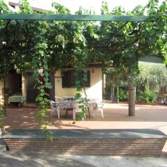 Cottage in the green