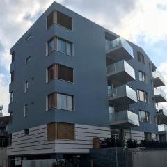 Close to Zürich centre and Airport