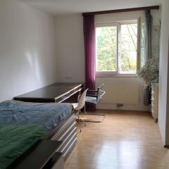 Room in maisonette with garden, parking place