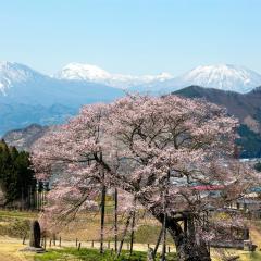 蕨野日式旅馆