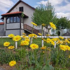 Apartment Rašće