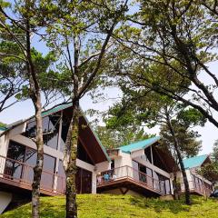 Green Forest Rustic Houses