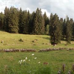 La Dernier (La cote-aux-fées) Suisse