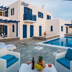 Mykonos Pro-care Suites