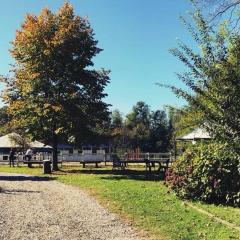 Agriturismo La Fornace centro ippico