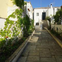 Two Olive Trees